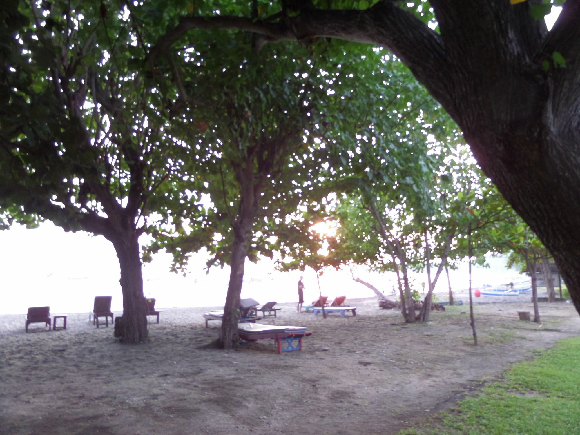 Taman Selini Wahana Beach Resort Pemuteran  Luaran gambar