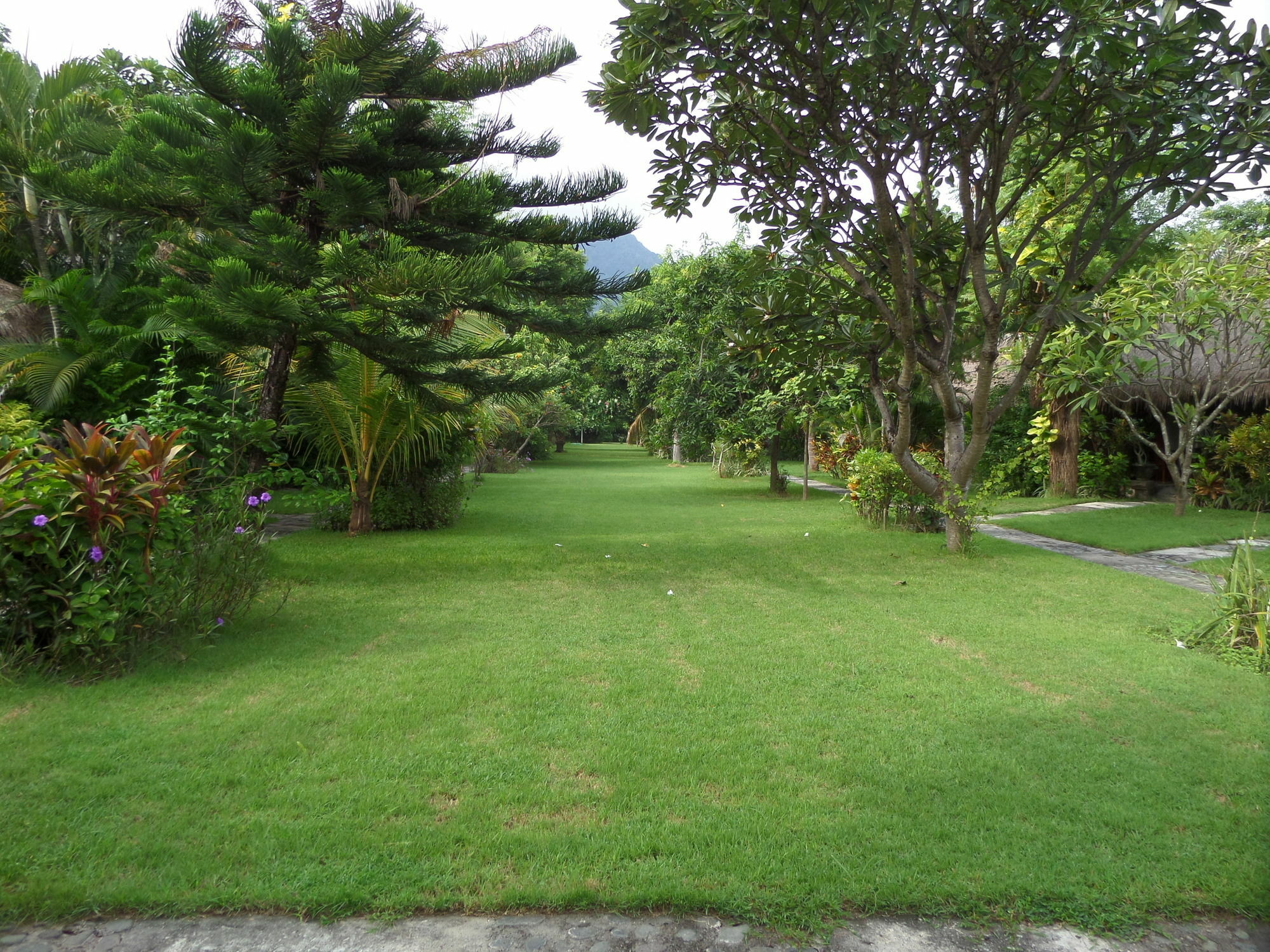 Taman Selini Wahana Beach Resort Pemuteran  Luaran gambar
