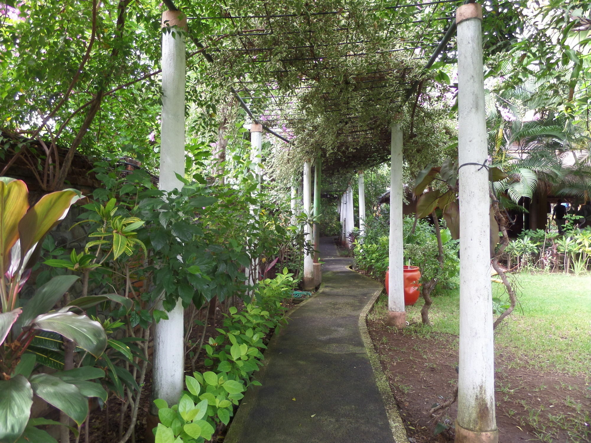 Taman Selini Wahana Beach Resort Pemuteran  Luaran gambar