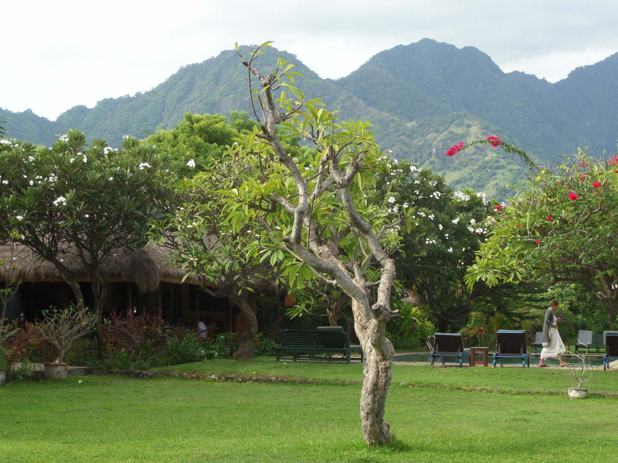 Taman Selini Wahana Beach Resort Pemuteran  Luaran gambar